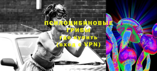 PSILOCYBIN Алексин