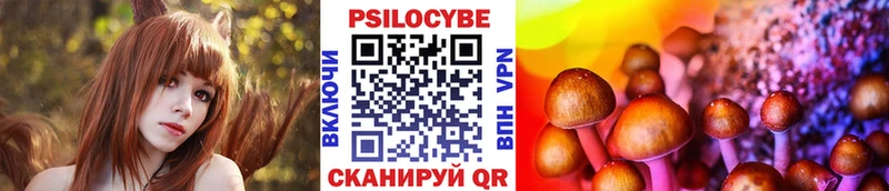 Галлюциногенные грибы Psilocybine cubensis Оленегорск